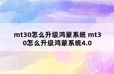 mt30怎么升级鸿蒙系统 mt30怎么升级鸿蒙系统4.0